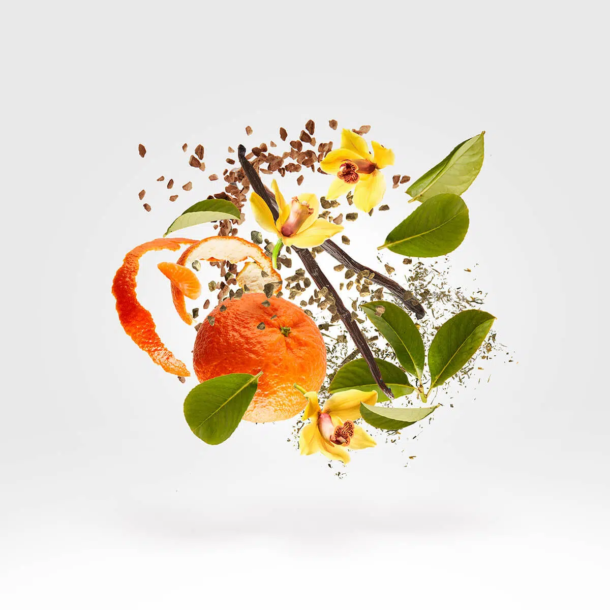 Xerjoff V-Purple Accento Edp 100ml - Imagen 2