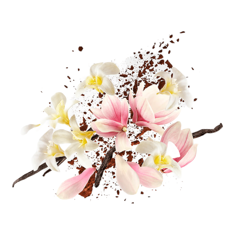 Xerjoff Shooting Stars Allende Edp 50ml - Imagen 3