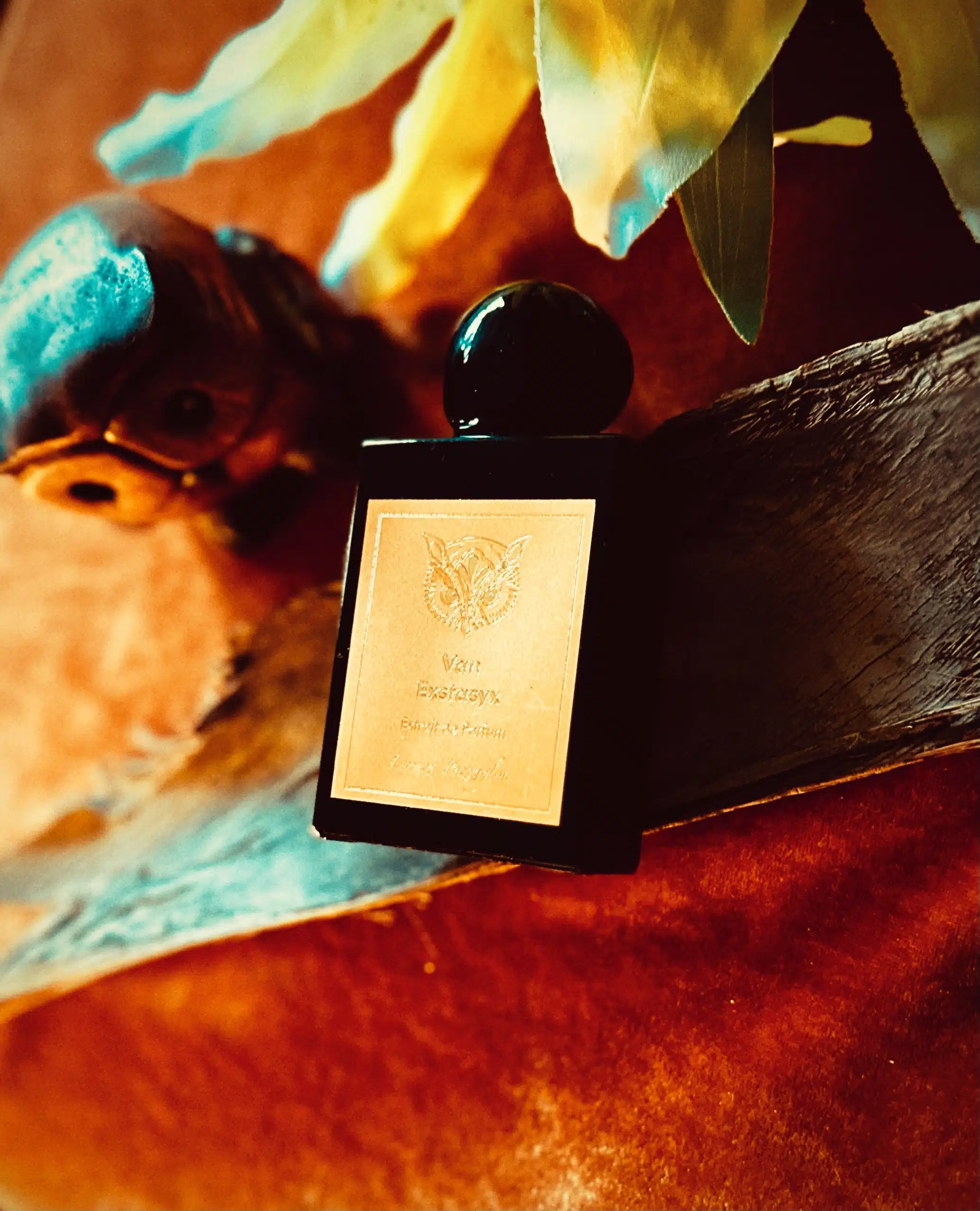 Lorenzo Pazzaglia Van Exstasyx Extrait De Parfum 50ml - Imagen 3